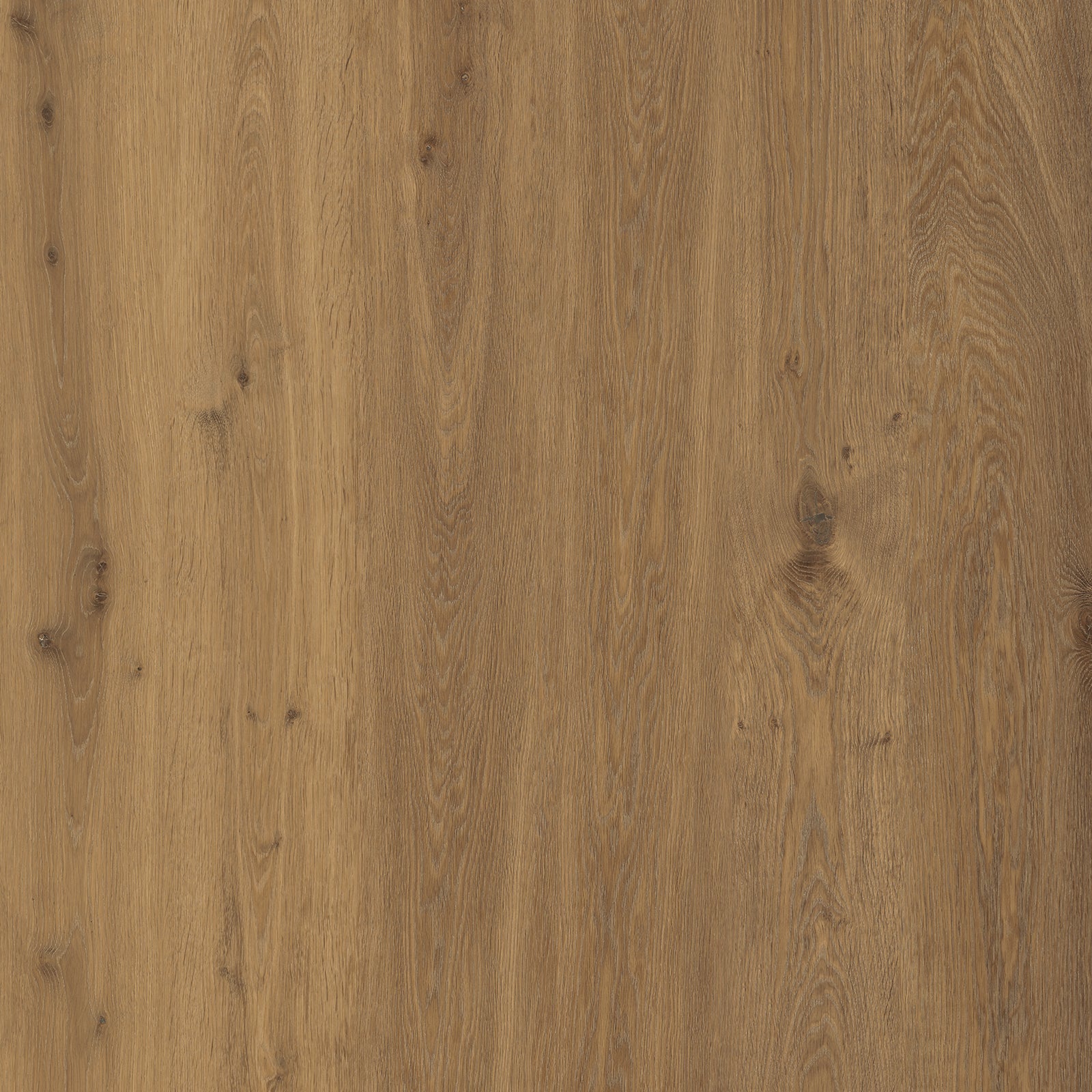 Amber Canyon Oak — SuperOak Elite 10mm hybrid wood plank