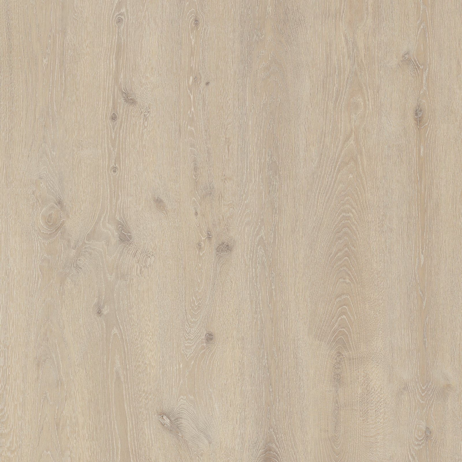 Official SuperOak Elite Coastal Sand Oak surface reference with pale oak grain