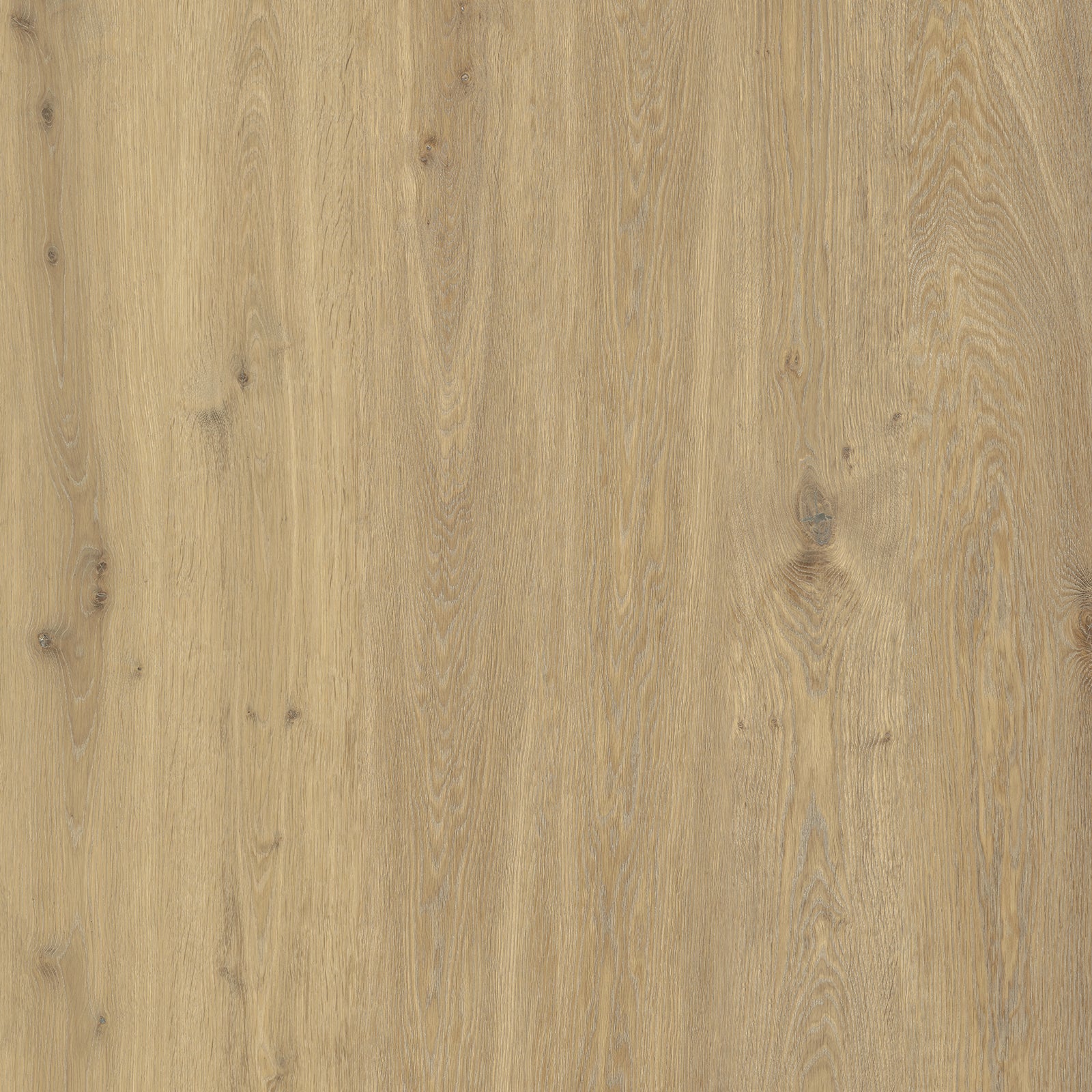 Ivory Dune Oak — SuperOak Elite 10mm hybrid wood plank