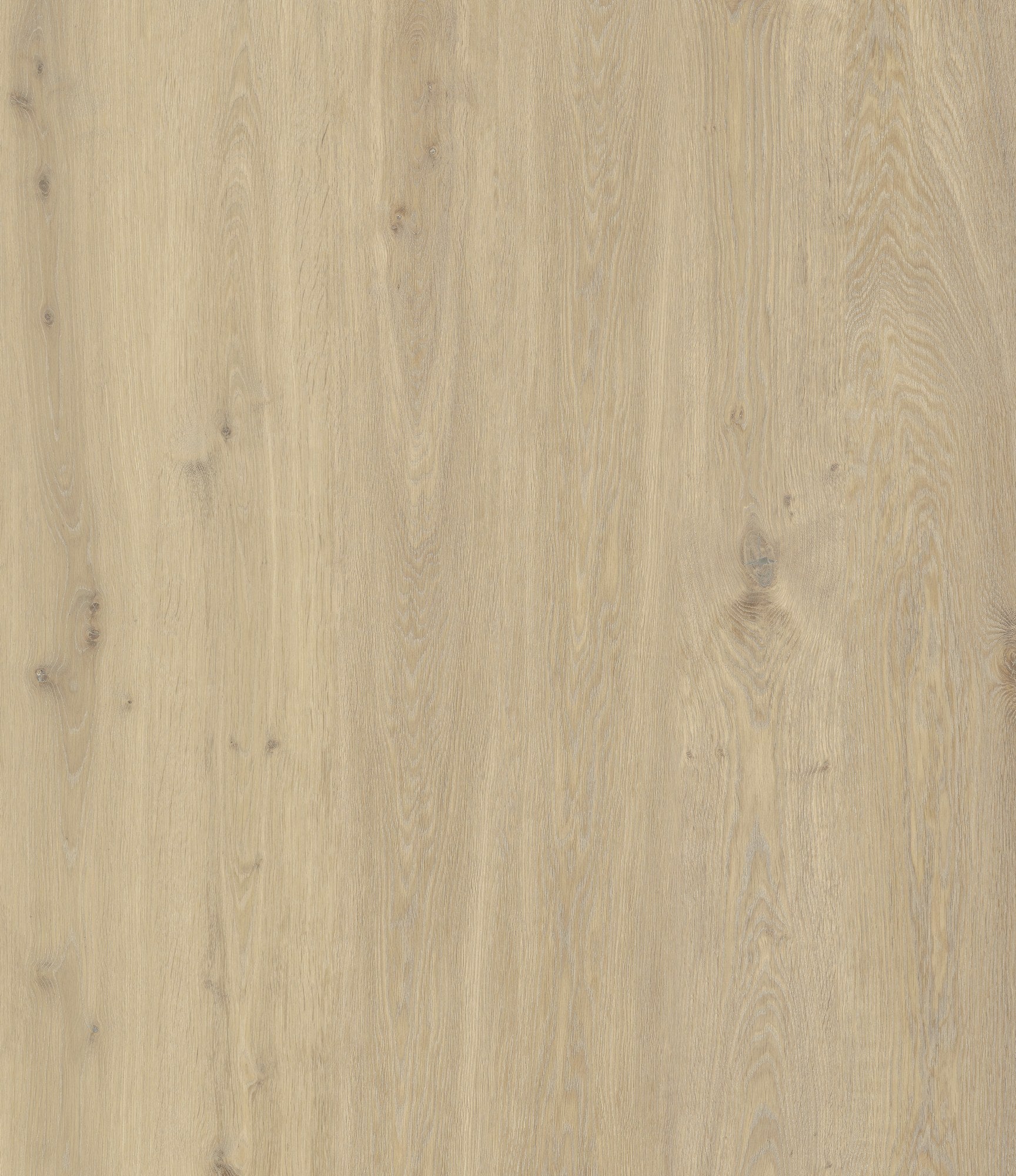 Golden Field Oak — SuperOak Elite plank surface texture