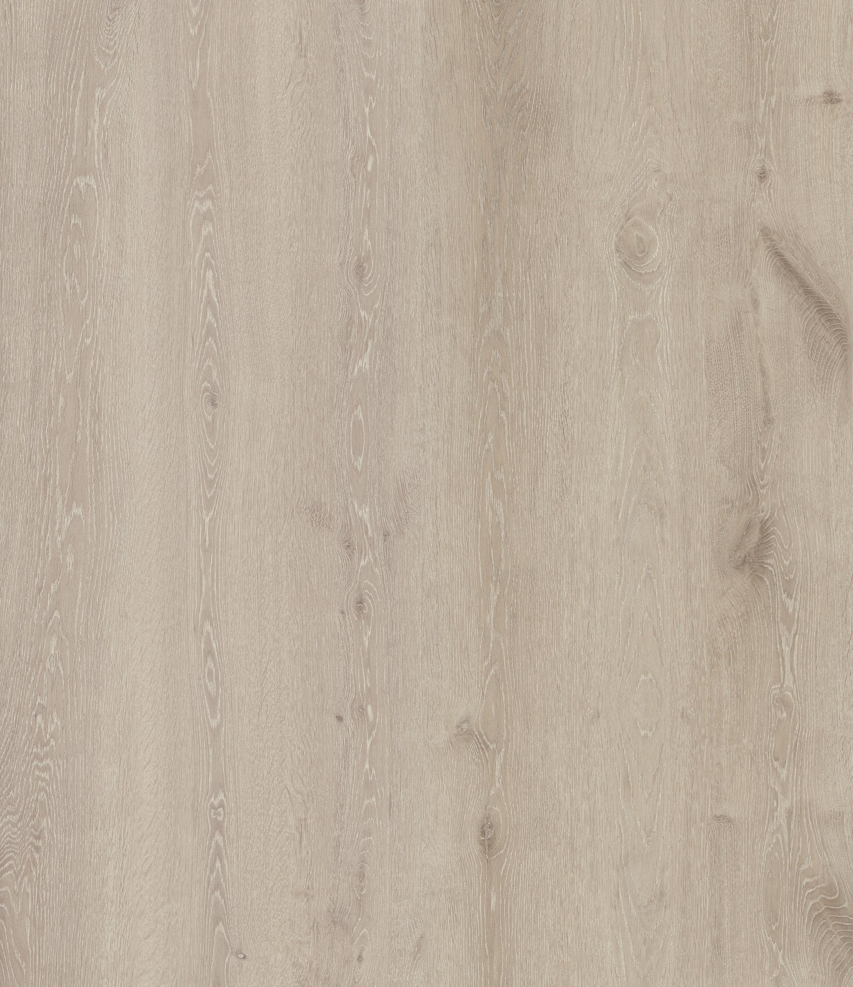 Coastal Sand Oak — SuperOak Elite plank surface texture