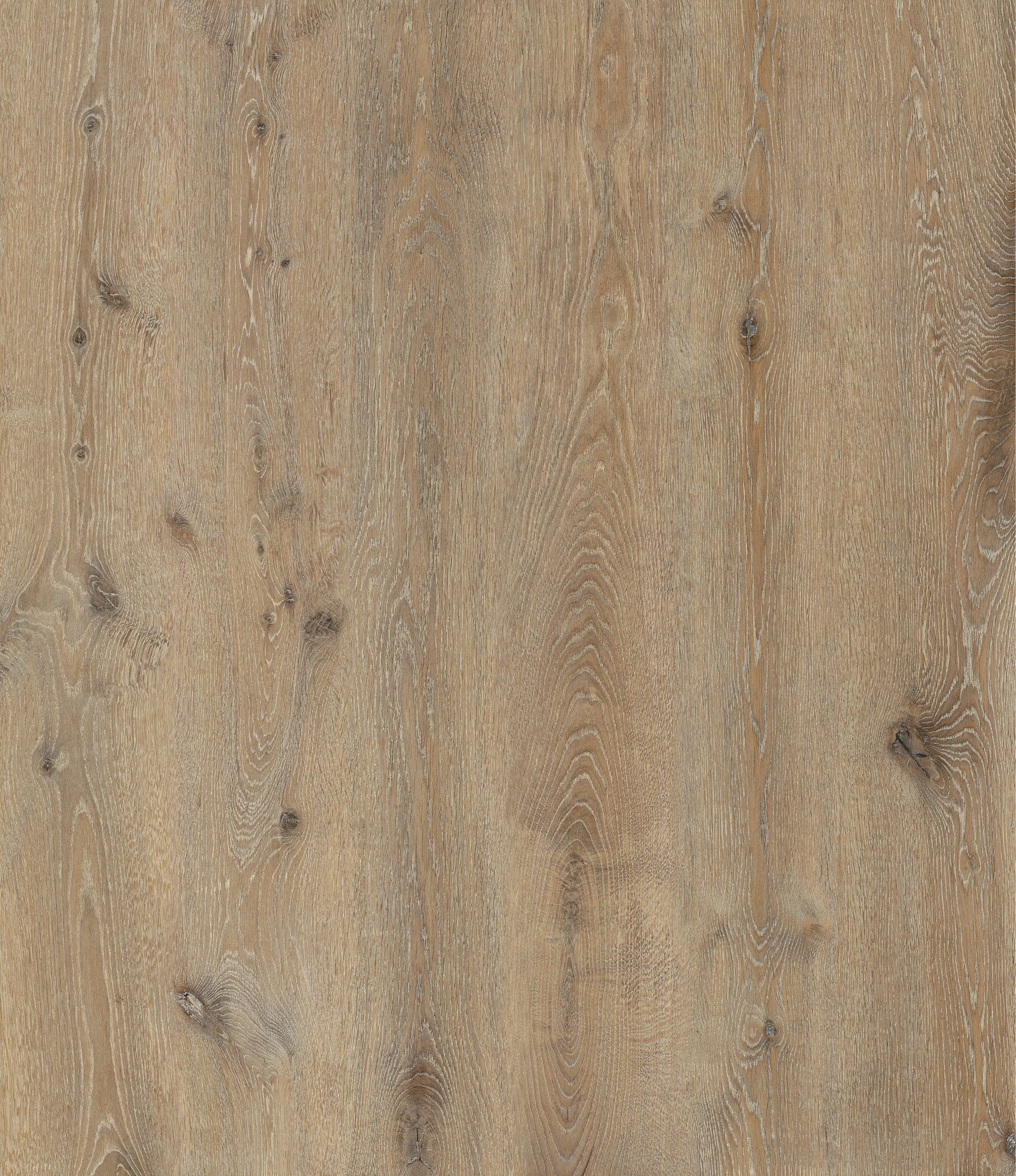 Autumn Trail Oak — SuperOak Elite plank surface texture