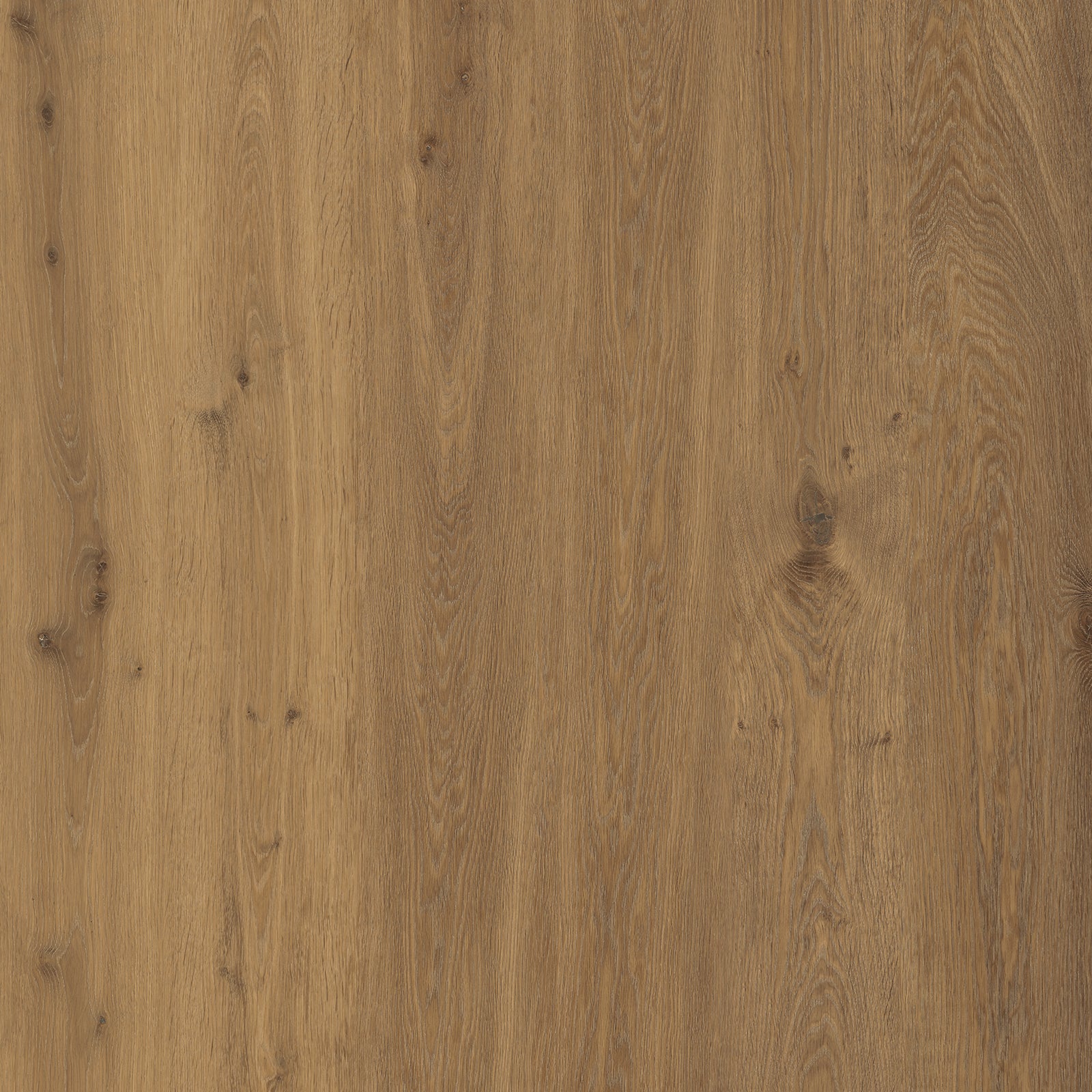 Amber Canyon Oak — SuperOak Elite 10mm hybrid wood plank