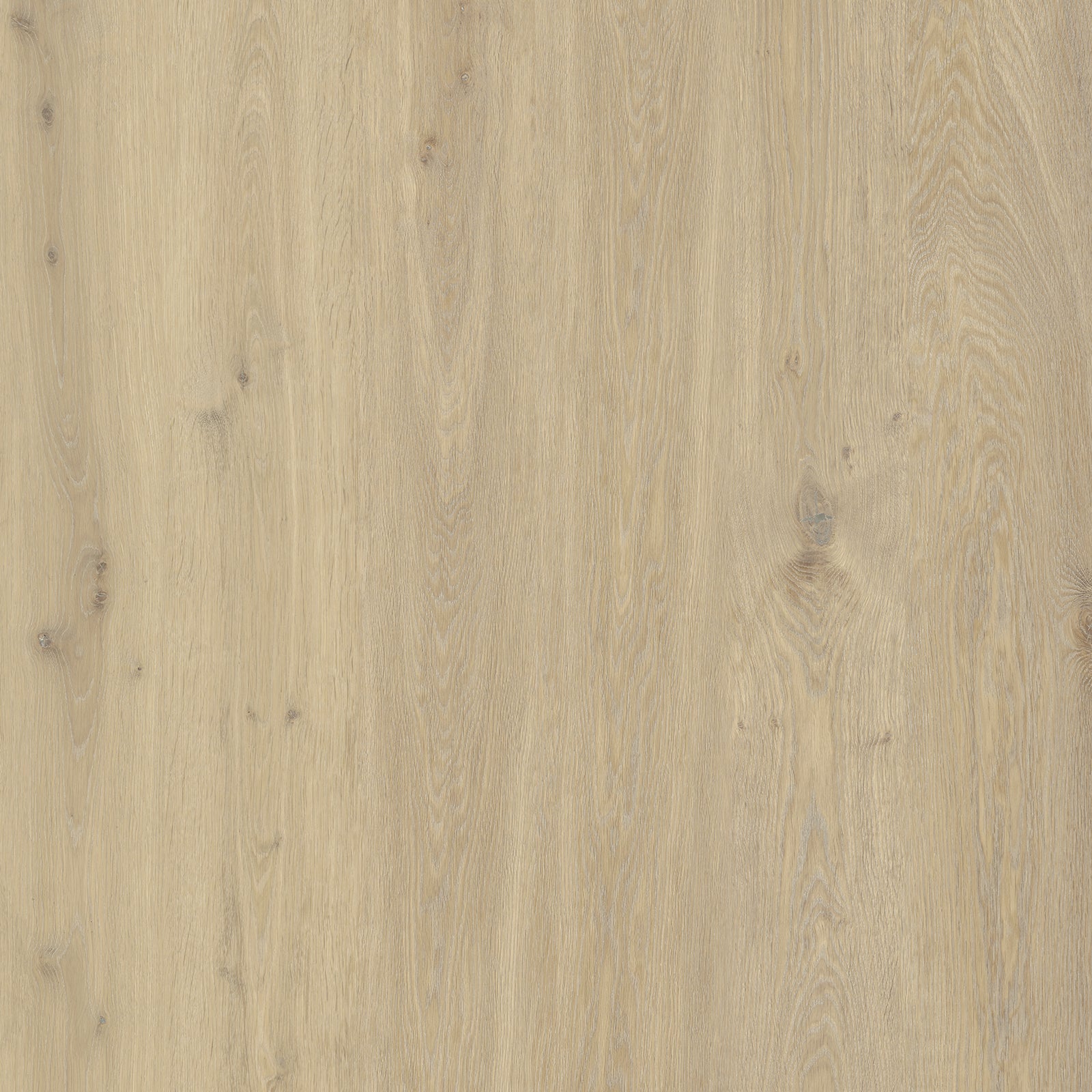 Golden Field Oak — SuperOak Elite 10mm hybrid wood plank