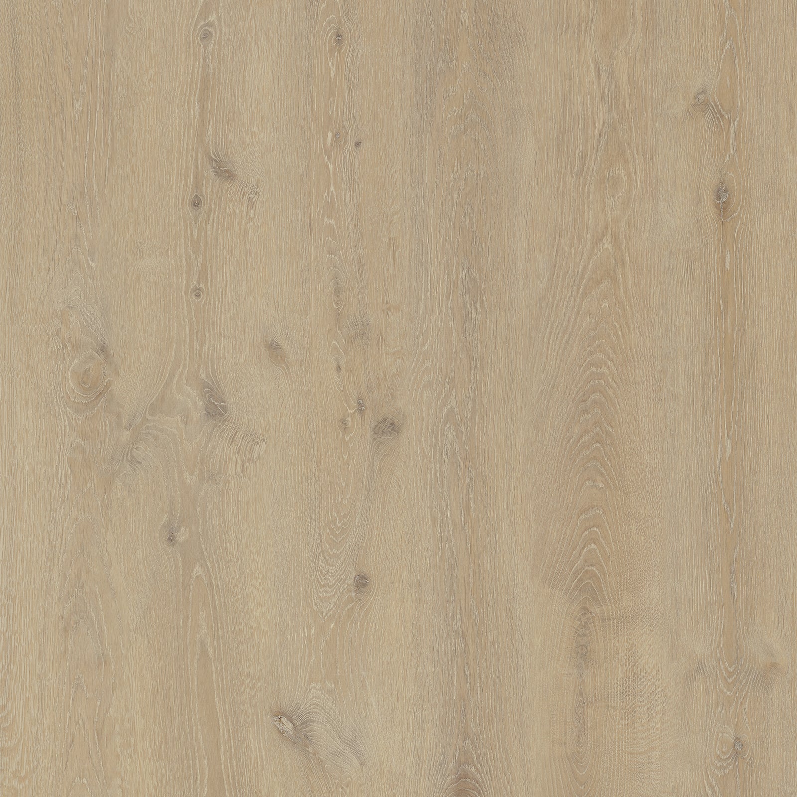 Linen Drift Oak — SuperOak Elite 10mm hybrid wood plank